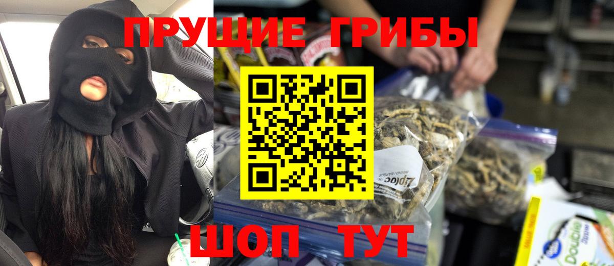 Алушта  закладка  Вход с VPN  Псилоцибиновые грибы MAGIC MUSHROOMS  Псилоцибиновые грибы Psilocybine cubensis 